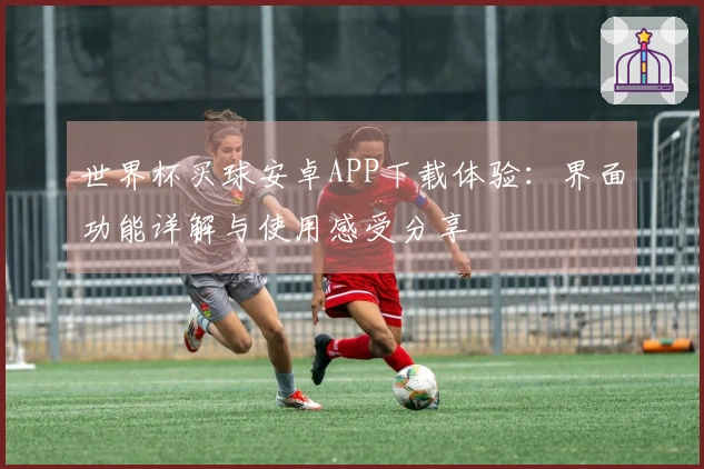 世界杯买球安卓APP下载体验：界面功能详解与使用感受分享