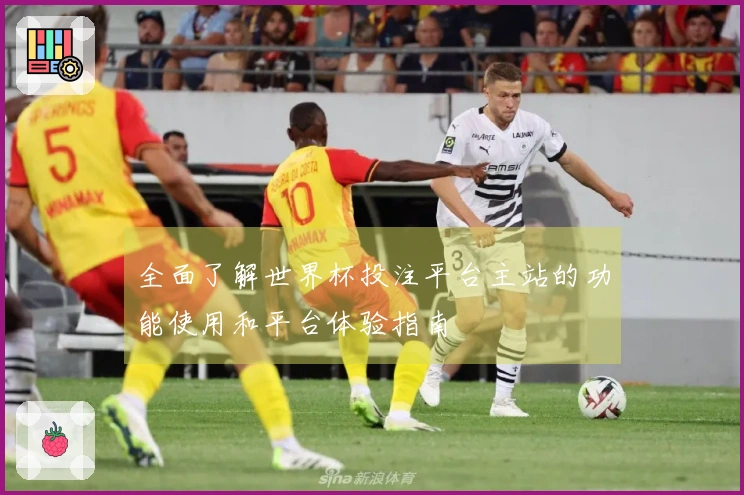 全面了解世界杯投注平台主站的功能使用和平台体验指南