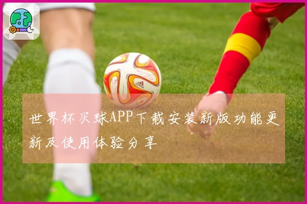 世界杯买球APP下载安装新版功能更新及使用体验分享