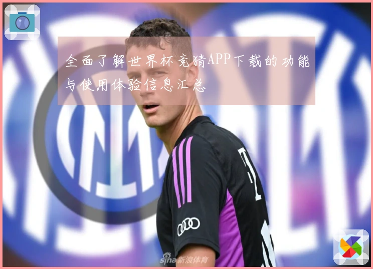 全面了解世界杯竞猜APP下载的功能与使用体验信息汇总