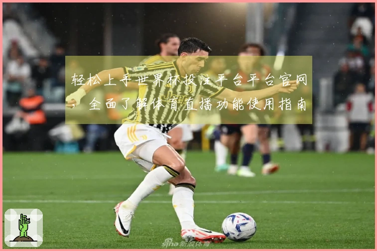 轻松上手世界杯投注平台平台官网，全面了解体育直播功能使用指南