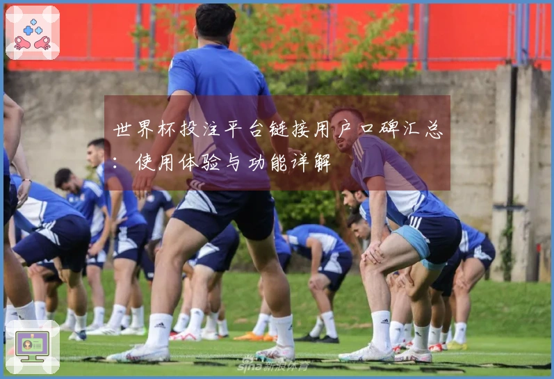世界杯投注平台链接用户口碑汇总：使用体验与功能详解