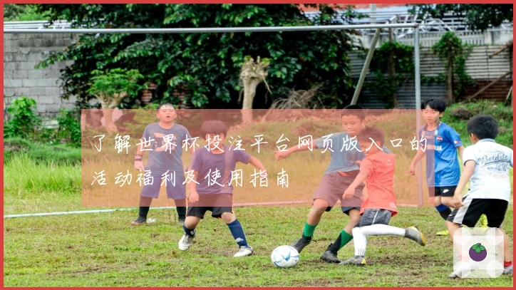 了解世界杯投注平台网页版入口的活动福利及使用指南