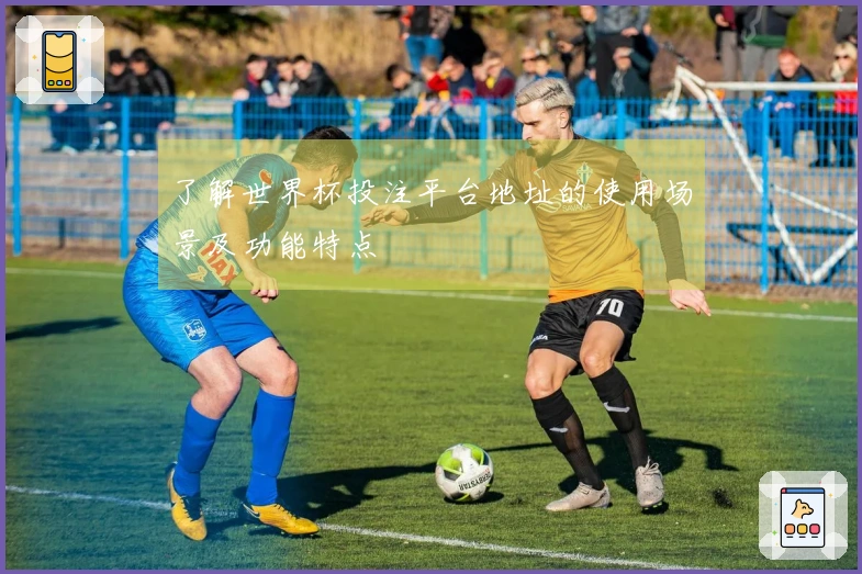 了解世界杯投注平台地址的使用场景及功能特点