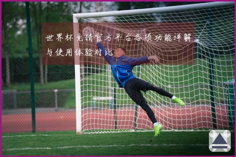 世界杯竞猜官方平台各项功能详解与使用体验对比