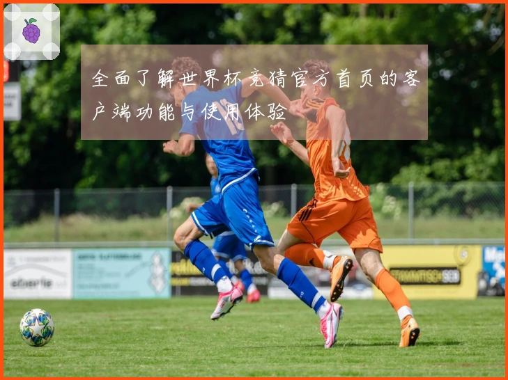 全面了解世界杯竞猜官方首页的客户端功能与使用体验