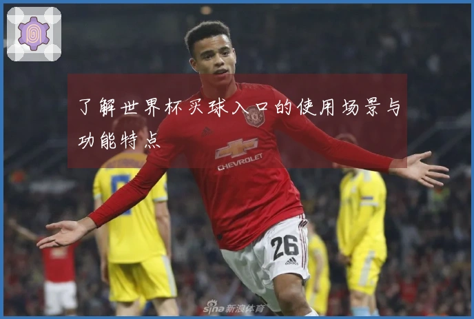 了解世界杯买球入口的使用场景与功能特点