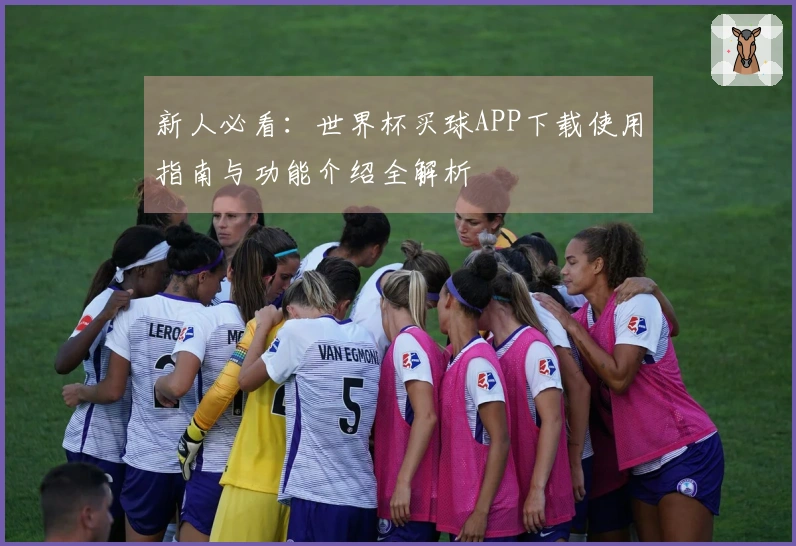 新人必看：世界杯买球APP下载使用指南与功能介绍全解析