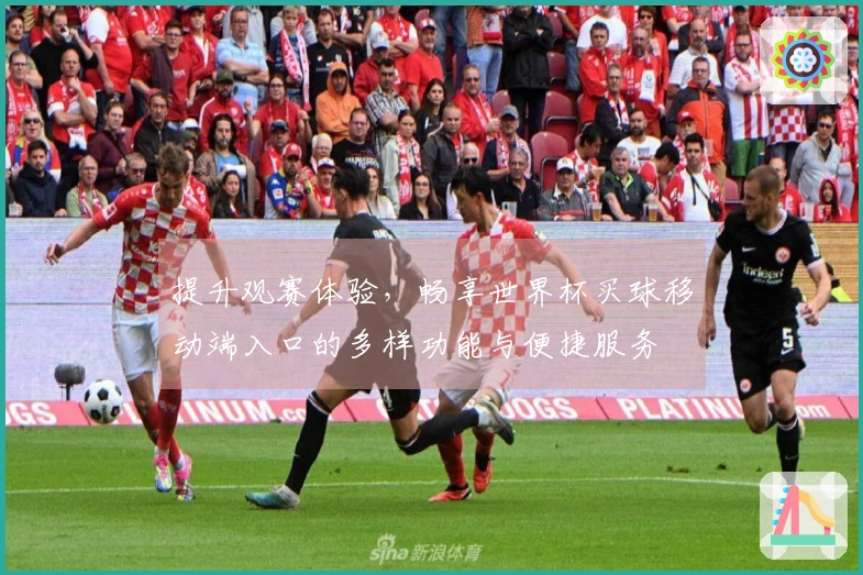 提升观赛体验，畅享世界杯买球移动端入口的多样功能与便捷服务