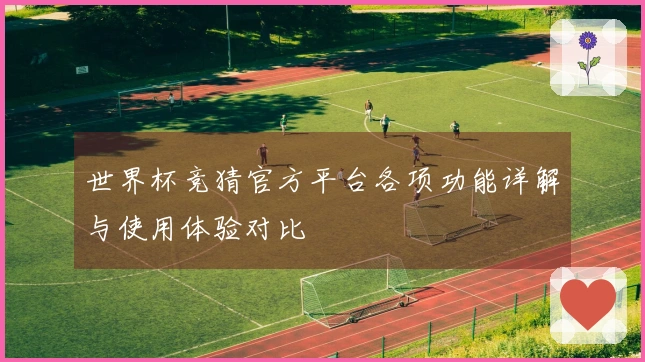 世界杯竞猜官方平台各项功能详解与使用体验对比