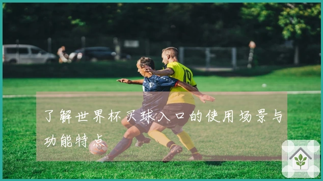 了解世界杯买球入口的使用场景与功能特点