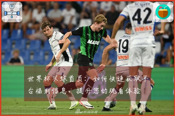 世界杯买球首页：如何快速获取平台福利信息，提升您的观看体验