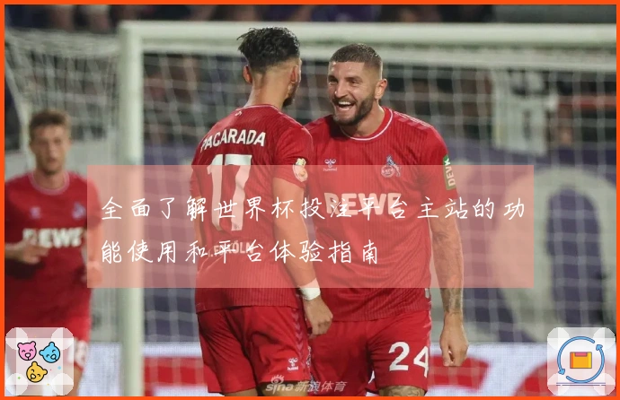 全面了解世界杯投注平台主站的功能使用和平台体验指南