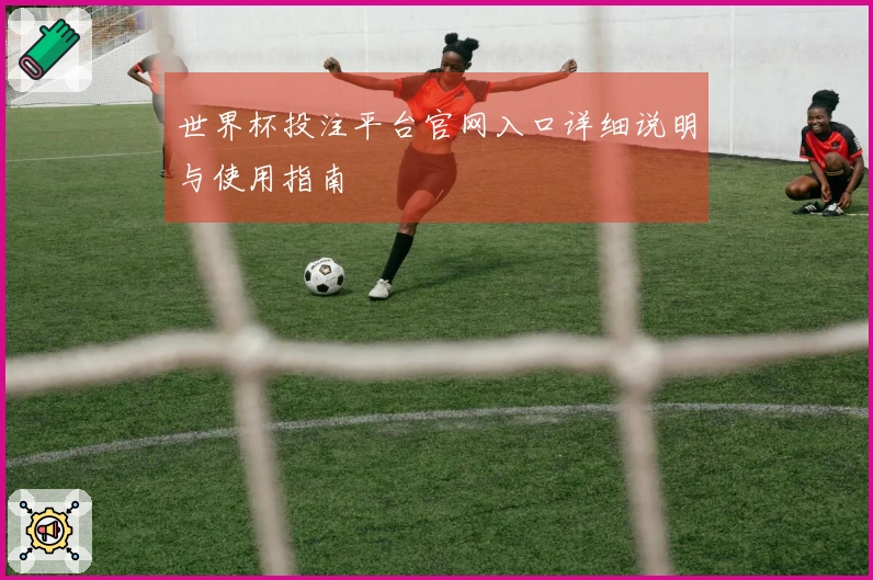 世界杯投注平台官网入口详细说明与使用指南